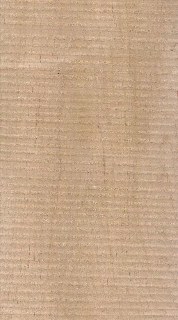 樺木的芯材顏色是淡紅棕色，邊材顏色近白色，板面寬且?guī)в暗哪酒な袌鰞r格良好，紋理通常是直紋和波浪紋，質地均勻，板面有很好的自然光澤度。.webp.jpg