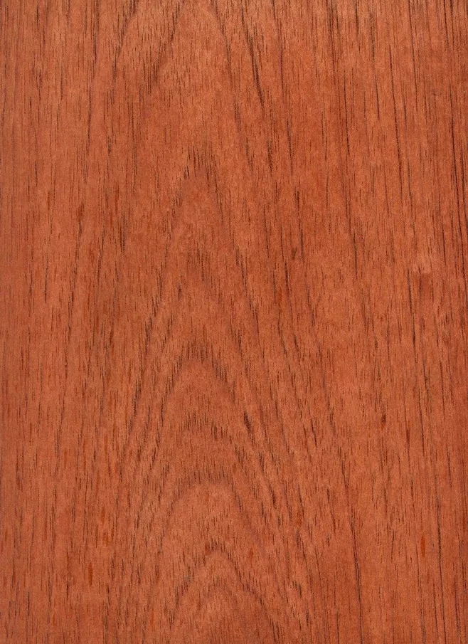 西班牙香杉的芯材為均勻的淺粉色到紅棕色，顏色一般會隨著樹木的增長而加深，通常，木材都自帶樹脂和有油脂，木材板面看起來比較普通。紋理通常直，有局部交錯，材質均勻，天然光澤度一般。.webp.jpg